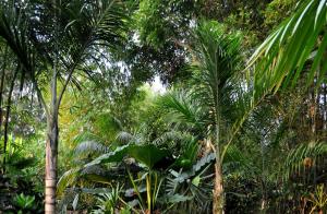 post-3412-0-28175000-1383690050_thumb.jp