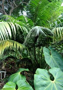 post-3412-0-38293400-1383689289_thumb.jp