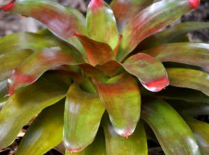 post-3412-0-48694800-1389171133_thumb.jp