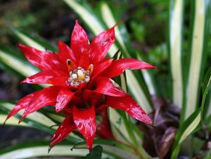 post-3412-0-49725200-1389171181_thumb.jp