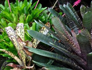 post-3412-0-51607400-1389171156_thumb.jp