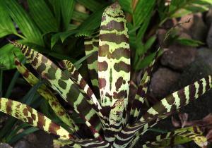 post-3412-0-65839400-1389171094_thumb.jp