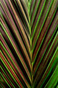 post-3412-0-77055500-1391680780_thumb.jp