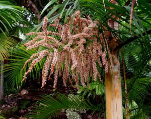 post-3412-0-79337300-1405590361_thumb.jp