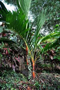 post-3412-0-92655700-1383688001_thumb.jp