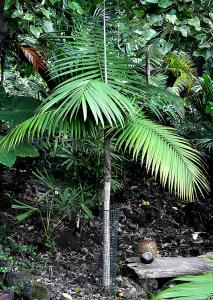 post-3412-0-97818100-1383690094_thumb.jp