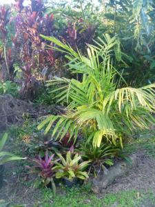 post-354-033546600 1311670439_thumb.jpg