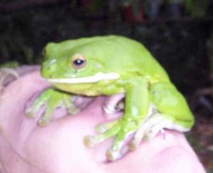 post-354-038220500 1316302230_thumb.jpg