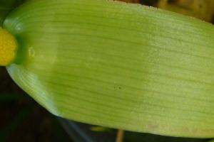 post-354-085526000 1313755140_thumb.jpg