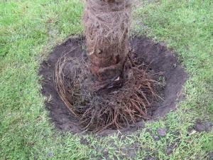 post-3595-026260300 1332451349_thumb.jpg