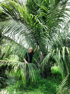 post-3598-0-76097500-1383065727_thumb.jp