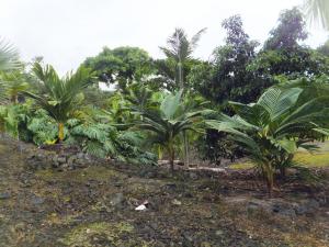 post-3609-0-21106300-1378702582_thumb.jp