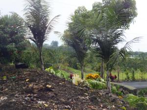 post-3609-0-42884000-1378702137_thumb.jp