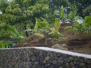 post-3609-0-45669300-1423844584_thumb.jp