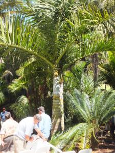 post-3609-0-76204100-1343155178_thumb.jp