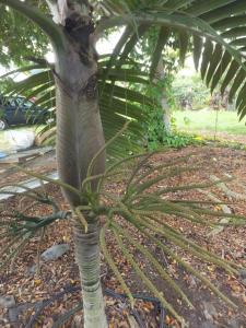 post-3609-0-79328100-1412572500_thumb.jp