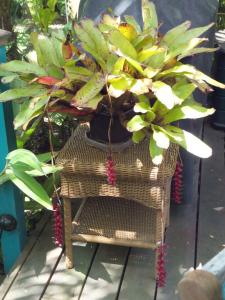 post-3609-0-90248500-1343154671_thumb.jp