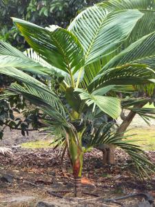 post-3609-0-95340000-1378702686_thumb.jp