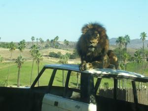 post-3609-028751600 1313511017_thumb.jpg