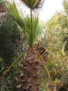 post-37-009964100 1332917215_thumb.jpg