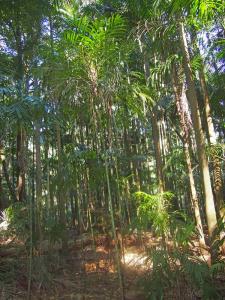 post-37-094204400 1318665992_thumb.jpg