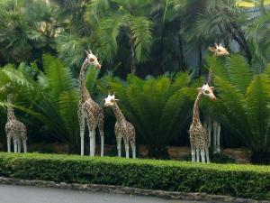 post-3764-0-23065200-1349936458_thumb.jp