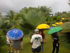 post-3764-0-25718500-1349936742_thumb.jp