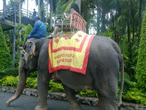 post-3764-0-68410300-1349936671_thumb.jp