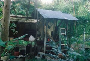 post-3769-007846400 1324532571_thumb.jpg