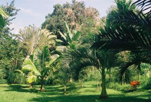 post-3769-014343500 1324530986_thumb.jpg