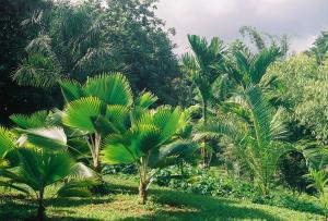 post-3769-032245300 1324531822_thumb.jpg