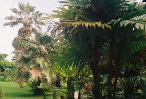 post-3769-039503100 1324530919_thumb.jpg