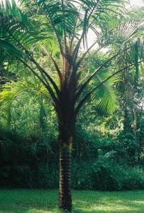 post-3769-045132300 1324531690_thumb.jpg