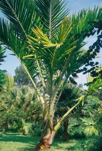 post-3769-066920800 1324531733_thumb.jpg