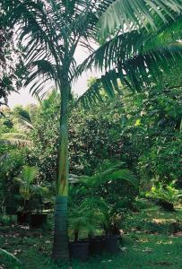 post-3769-081561500 1324530845_thumb.jpg