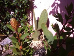 post-3881-0-07058100-1429134991_thumb.jp