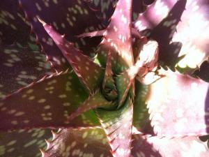 post-3881-0-37047900-1429134947_thumb.jp