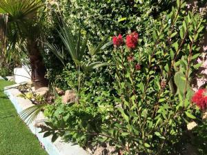 post-3881-0-39850800-1432239866_thumb.jp