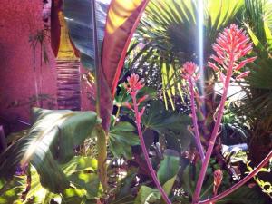 post-3881-0-52033200-1431297866_thumb.jp