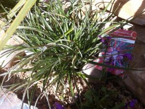 post-3881-0-56713700-1429134938_thumb.jp