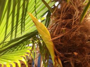 post-3881-0-59686700-1429134902_thumb.jp