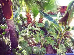 post-3881-0-68361500-1433680071_thumb.jp