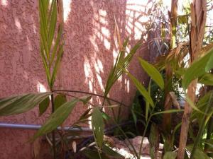 post-3881-0-69974500-1429134871_thumb.jp