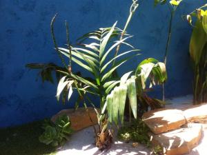 post-3881-0-78128900-1431727452_thumb.jp