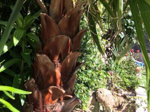 post-3881-0-85874200-1432239809_thumb.jp