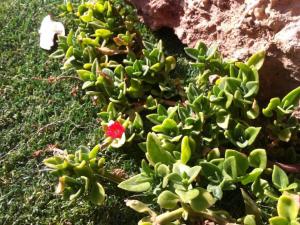 post-3881-0-96891900-1429134894_thumb.jp