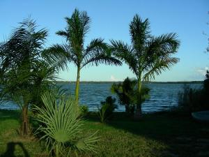 post-3923-0-57171700-1439985627_thumb.jp