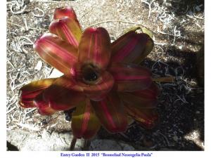 post-4087-0-00946500-1434548515_thumb.jp