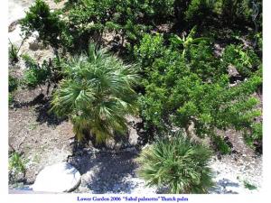 post-4087-0-01793300-1434548783_thumb.jp