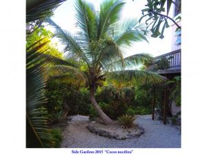 post-4087-0-01840600-1434548692_thumb.jp